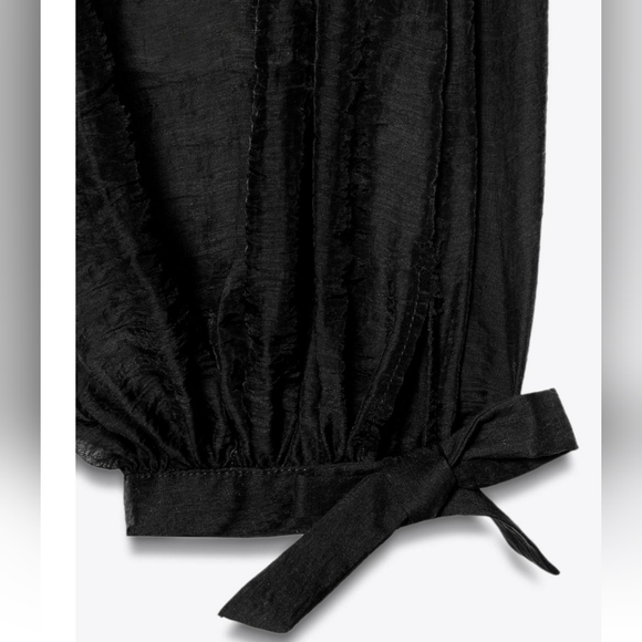 ZARA Semi-sheer Pants - Picture 2 of 2